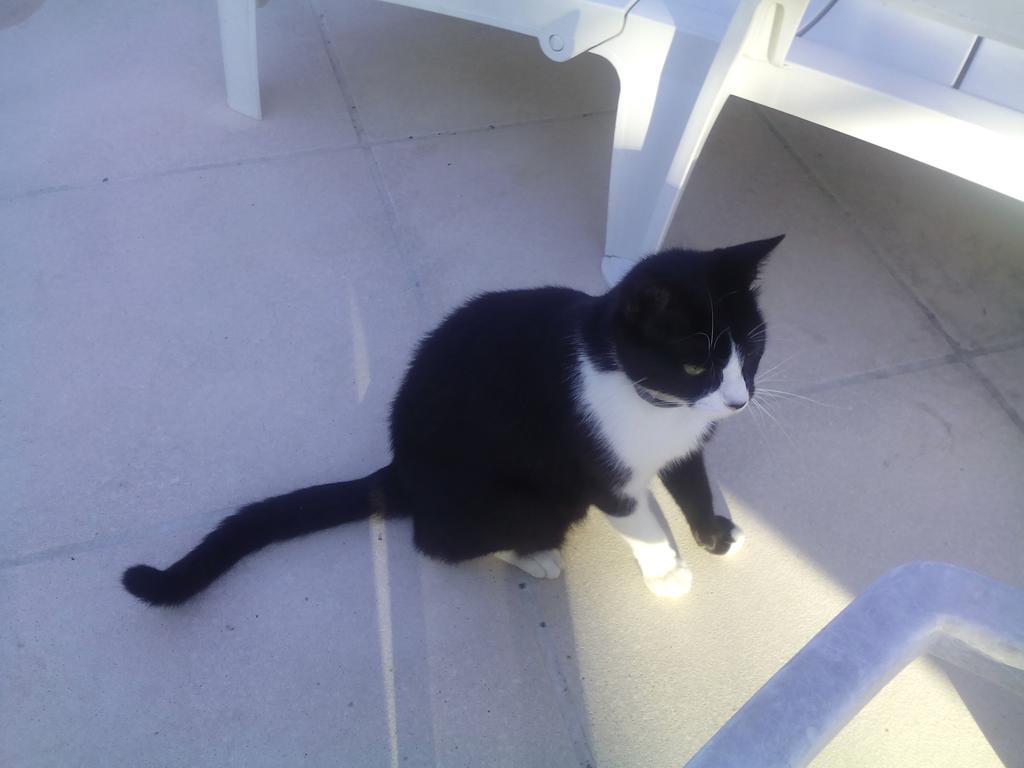 Les Passerons Holiday home Vaumeilh